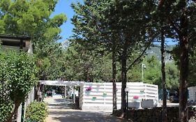 Camping Car Palmasera